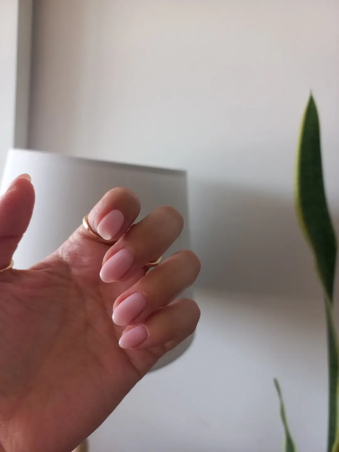 Die Perfekte Nagelform für Deine Hände: Finde Deinen Style!